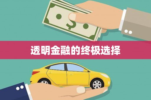 瑞金透明金融的终极选择