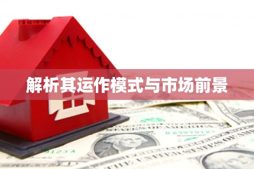 瑞金解析其运作模式与市场前景
