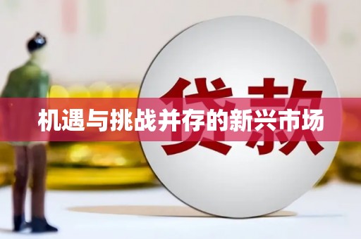 瑞金机遇与挑战并存的新兴市场