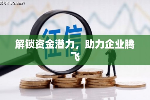 瑞金解锁资金潜力，助力企业腾飞