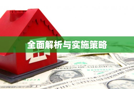 瑞金全面解析与实施策略