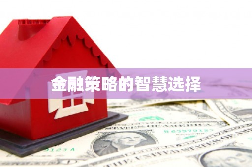 瑞金金融策略的智慧选择