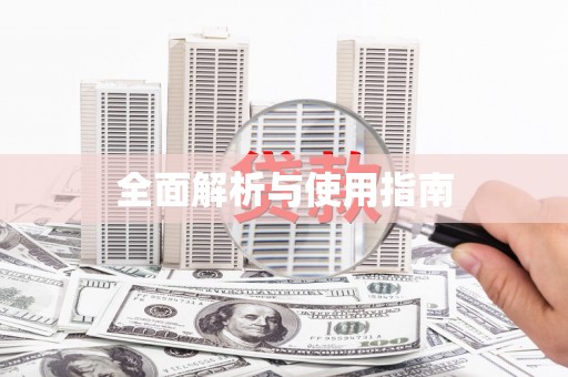 瑞金全面解析与使用指南