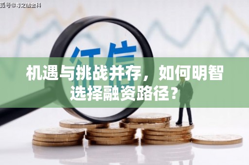 瑞金机遇与挑战并存，如何明智选择融资路径？