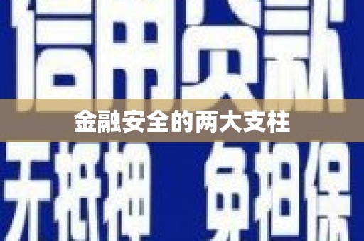 瑞金金融安全的两大支柱