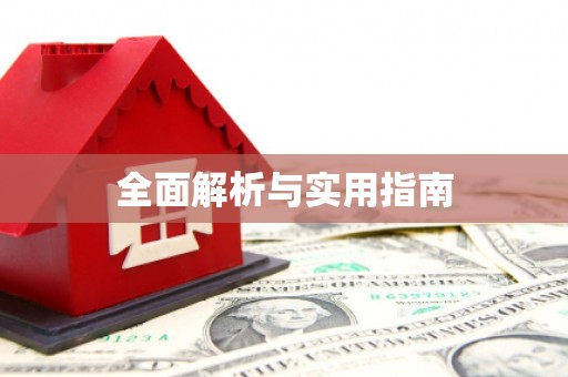 瑞金全面解析与实用指南