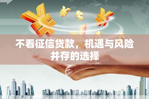 瑞金不看征信贷款，机遇与风险并存的选择