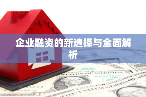 瑞金企业融资的新选择与全面解析