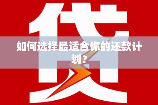 瑞金如何选择最适合你的还款计划？
