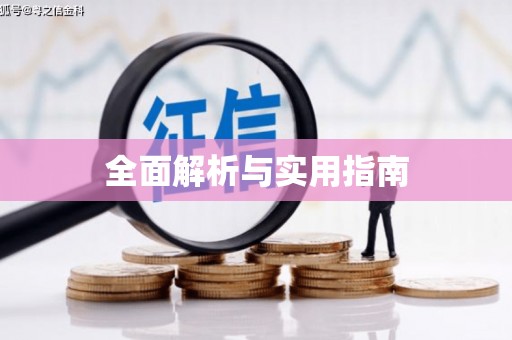 瑞金全面解析与实用指南