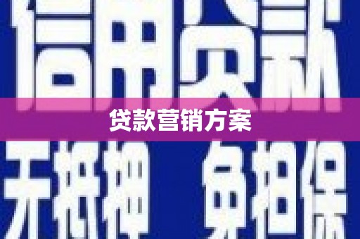 瑞金贷款营销方案