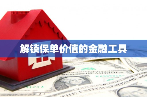 瑞金解锁保单价值的金融工具