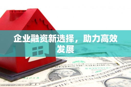 瑞金企业融资新选择，助力高效发展
