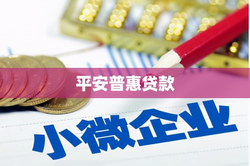 瑞金平安普惠贷款