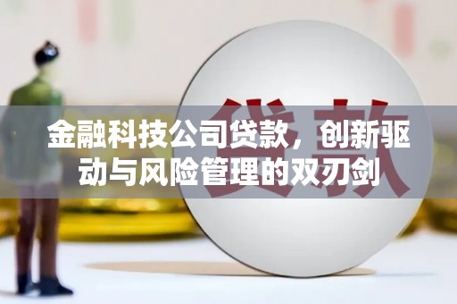 瑞金金融科技公司贷款，创新驱动与风险管理的双刃剑