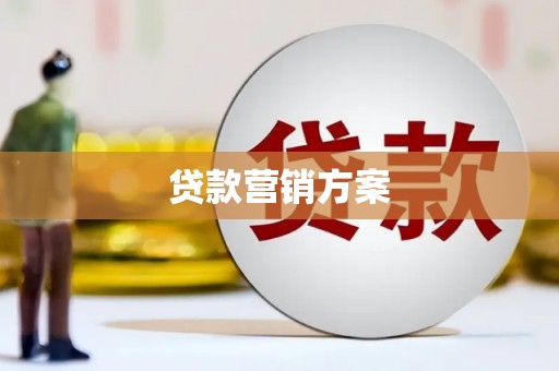 瑞金贷款营销方案
